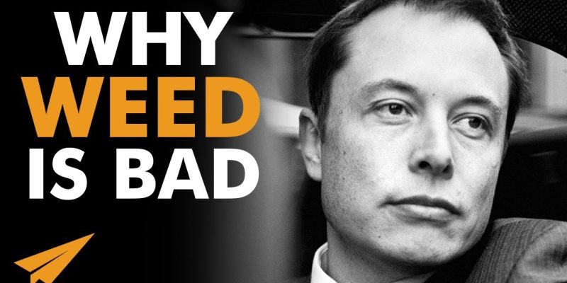 Elon Musk on Why WEED is BAD & How His BRAIN Works