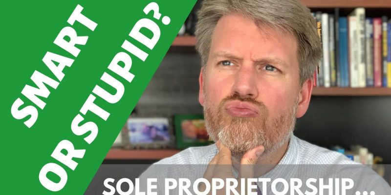 Why a Sole Proprietorship Might be a Shrewd Business Move