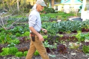 $1000 A Week: Front-Yard Market Farming + Bicycle Delivery Jim Kovaleski