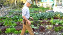 $1000 A Week: Front-Yard Market Farming + Bicycle Delivery Jim Kovaleski