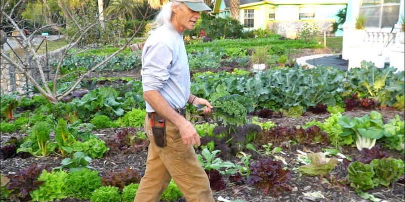$1000 A Week: Front-Yard Market Farming + Bicycle Delivery Jim Kovaleski