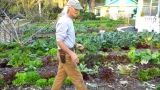 $1000 A Week: Front-Yard Market Farming + Bicycle Delivery Jim Kovaleski